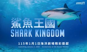 海洋劇場115年現正熱映-鯊魚王國