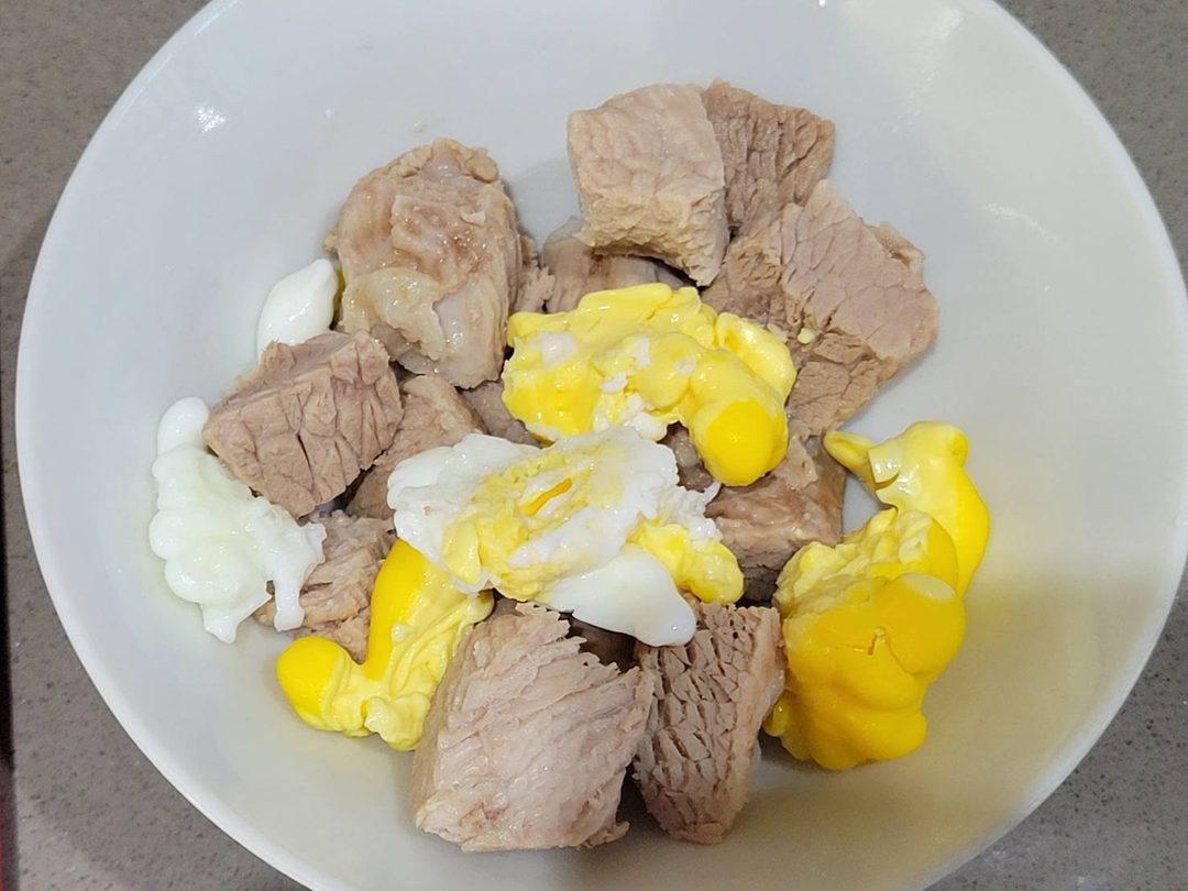 系爭犬生活報告與狗餐 2