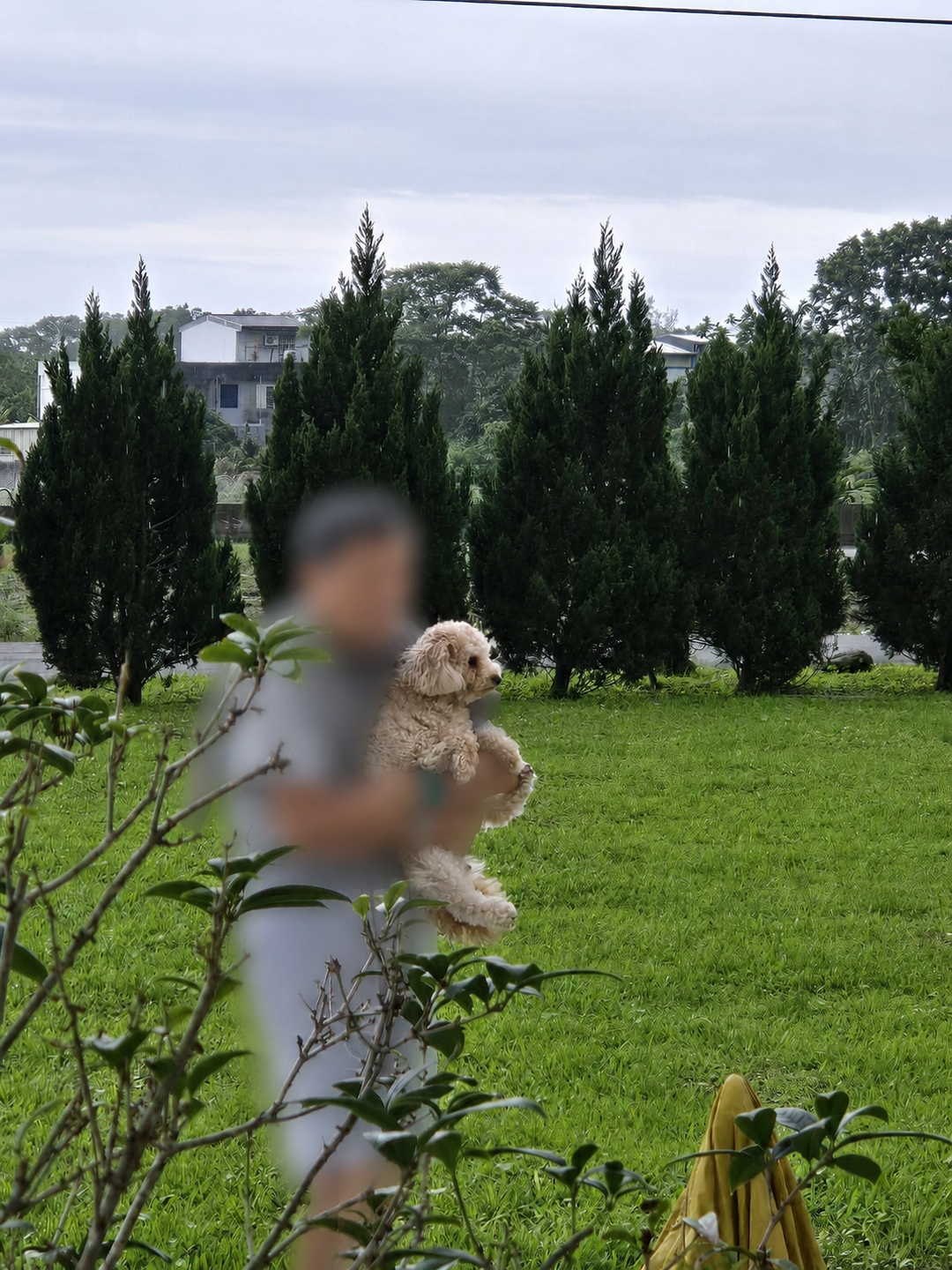 系爭犬家庭成員化照片 1