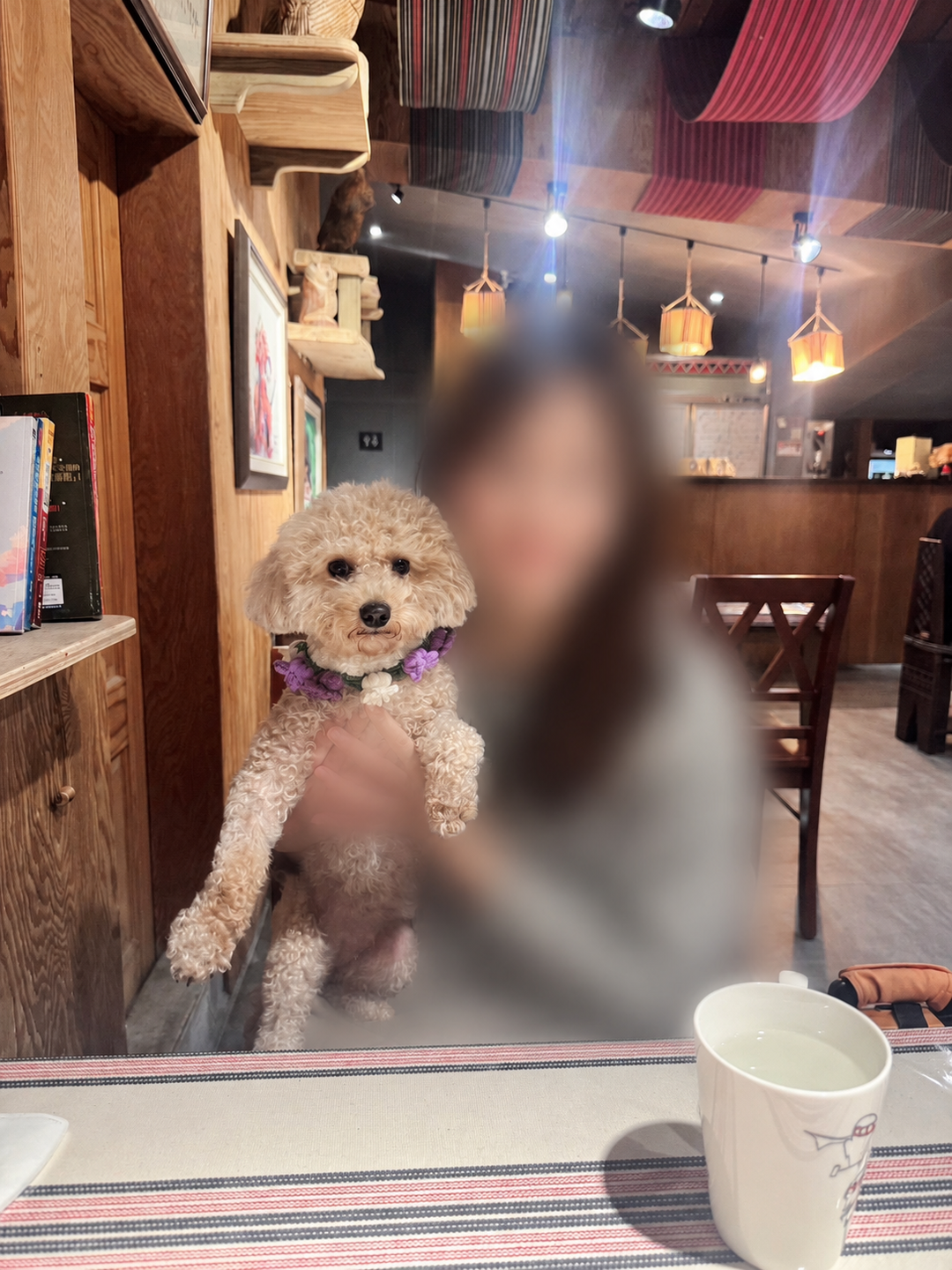 系爭犬家庭成員化照片 2