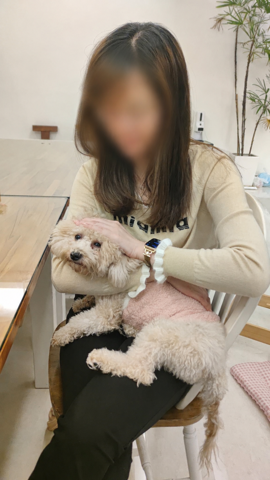 系爭犬家庭成員化照片 3