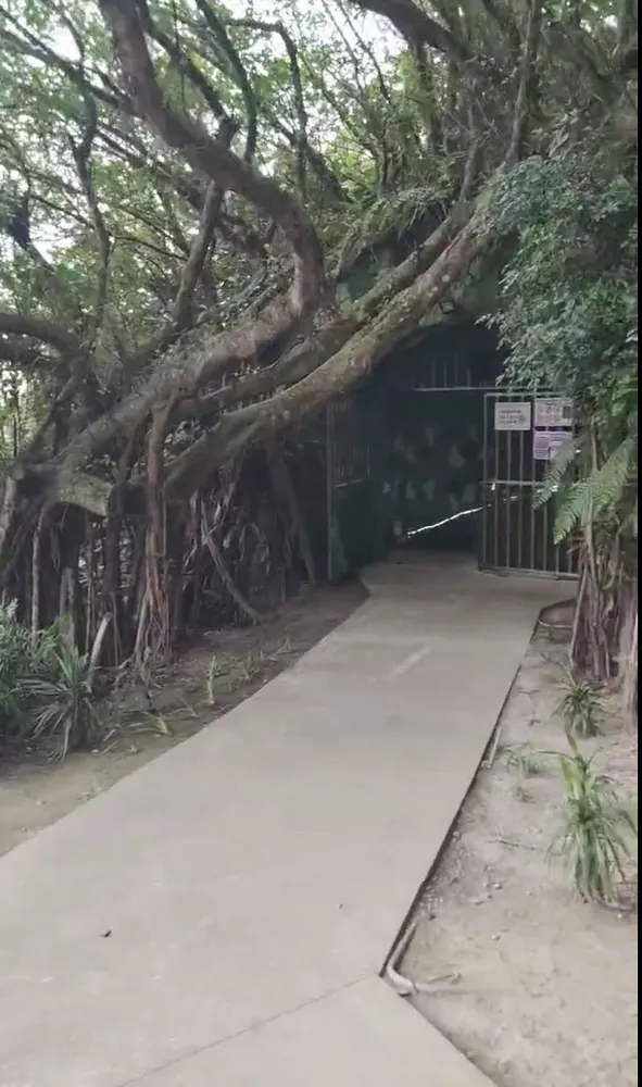 花蓮軍事坑道入口線索