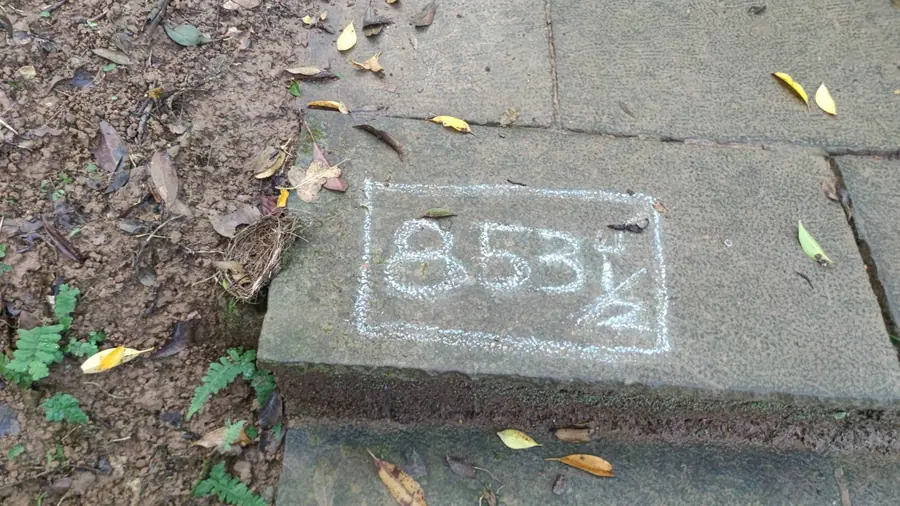 853½。路上特地用粉筆框起來,像是一個「走到一半」的里程提醒。
