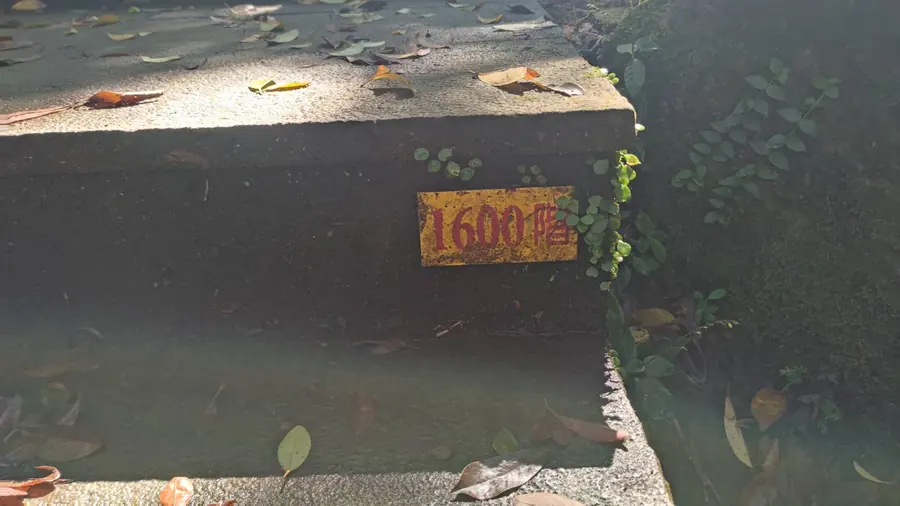1600階。看到這個數字,真的鬆了一口氣。