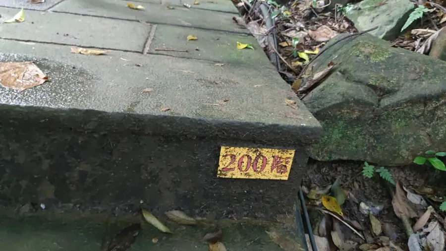 200階。腳開始慢慢有感覺。