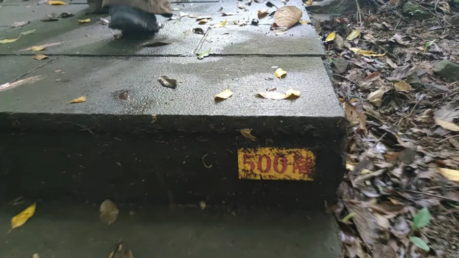 500階。