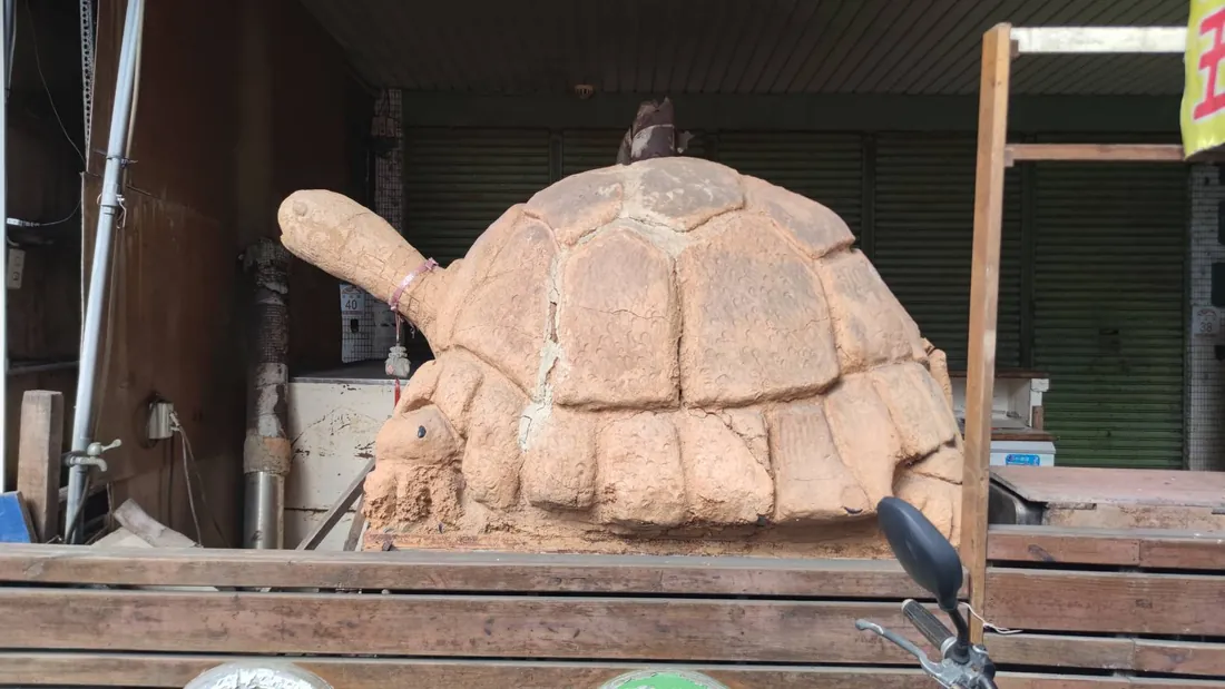 正面看大型烏龜造型