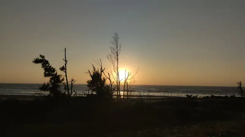 10月10日岸邊樹木剪影，後方是夕陽與海面